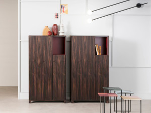 Шкаф с распашными дверцами