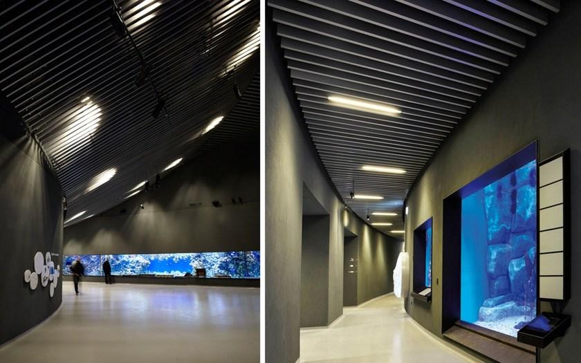 atena Акустические перегородки sun-id-1474638 - Вид №9