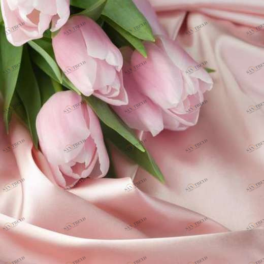 WP01316 Фотообои Verol Фотообои decoline 1х1 м