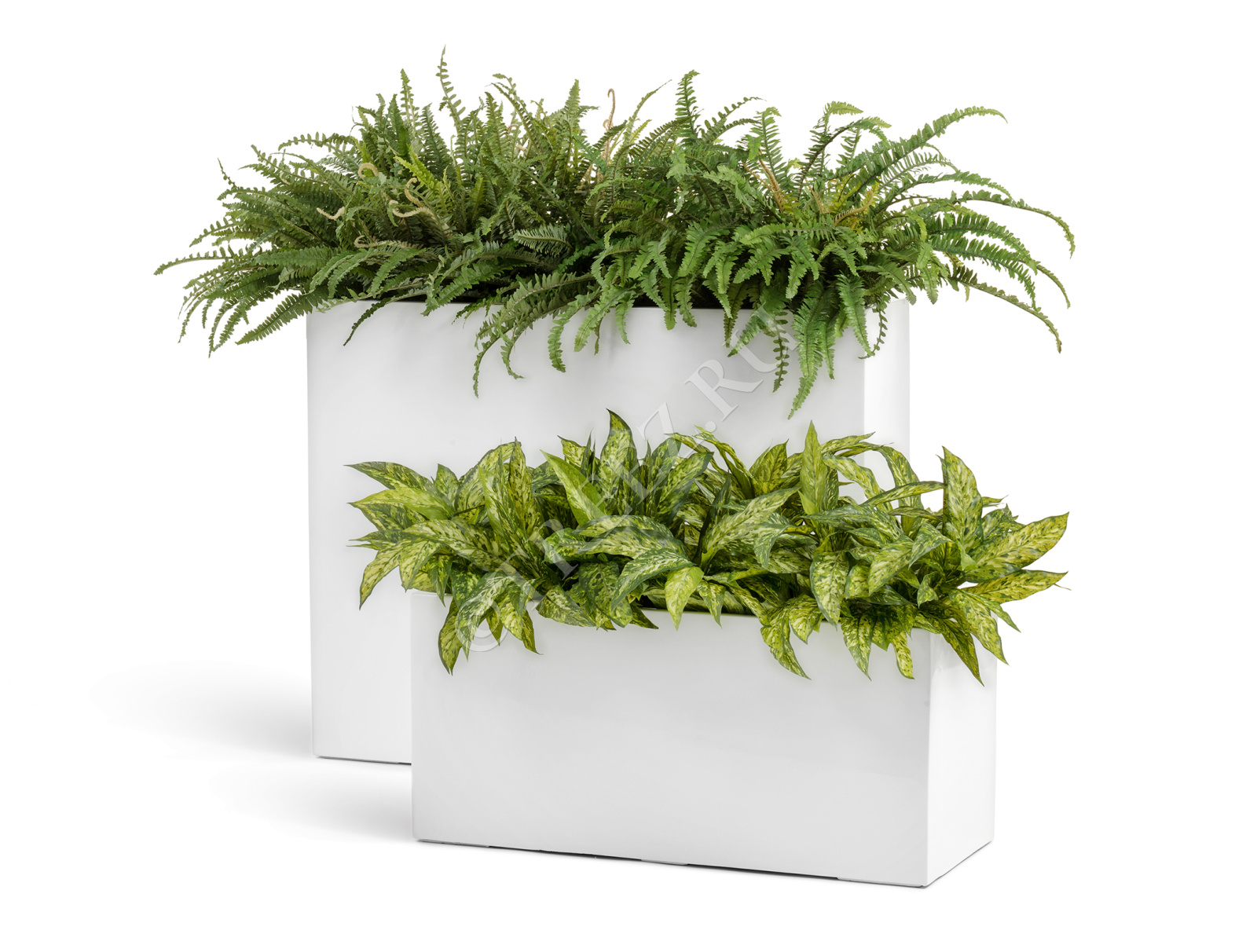 41.3320-05-041-WH-40 Кашпо  Effectory - серия Gloss - Низкий узкий прямоугольник - Белый глянцевый лак Цветочная коллекция  - Вид №6