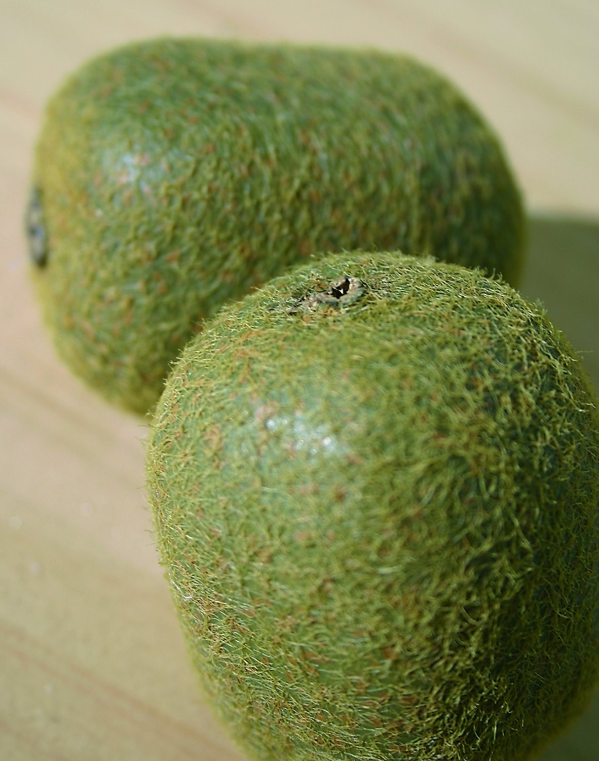 7267 666 a2 Искусственный киви, 7 см, коричневый H-andreas  - Вид №1