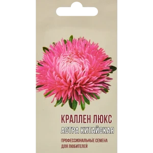 Астра китайская Краллен люкс