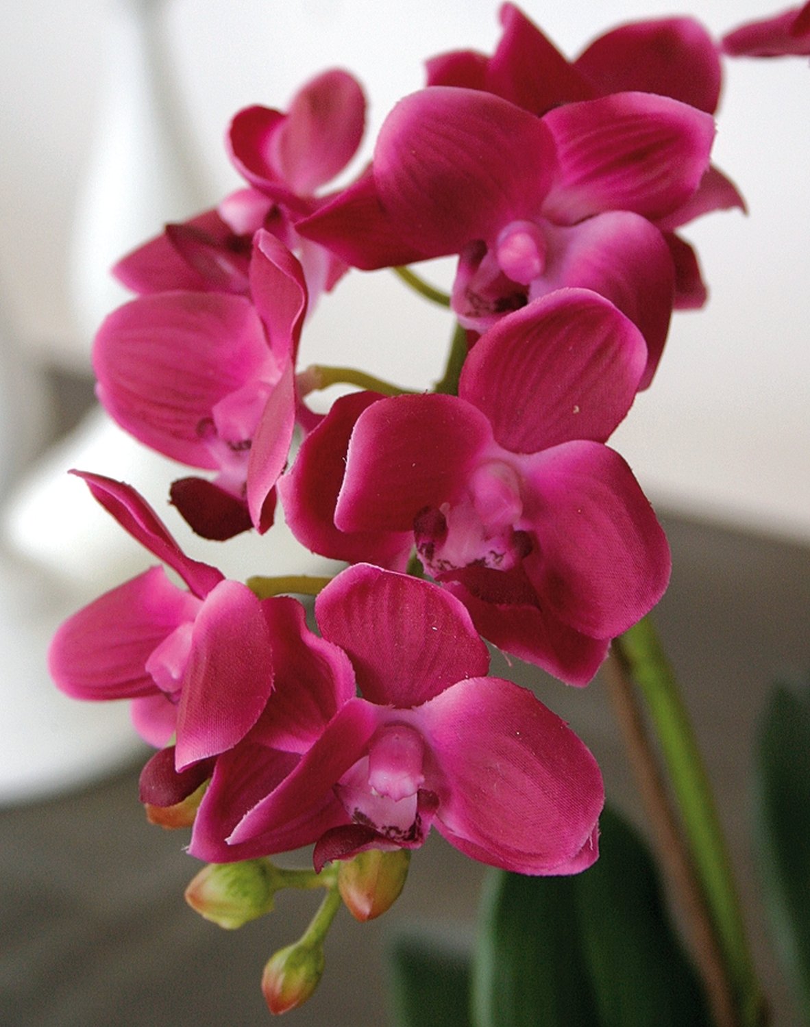 2609 420 a3 Пластиковая орхидея Phalaenopsis, 3-х кратная, в миске, 38 см, real touch, вишня H-andreas  - Вид №10