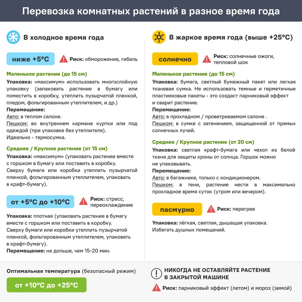 Суккуленты микс ø5.5 h8 см 89412036 STLM-2068460 Santreyd  - Вид №1