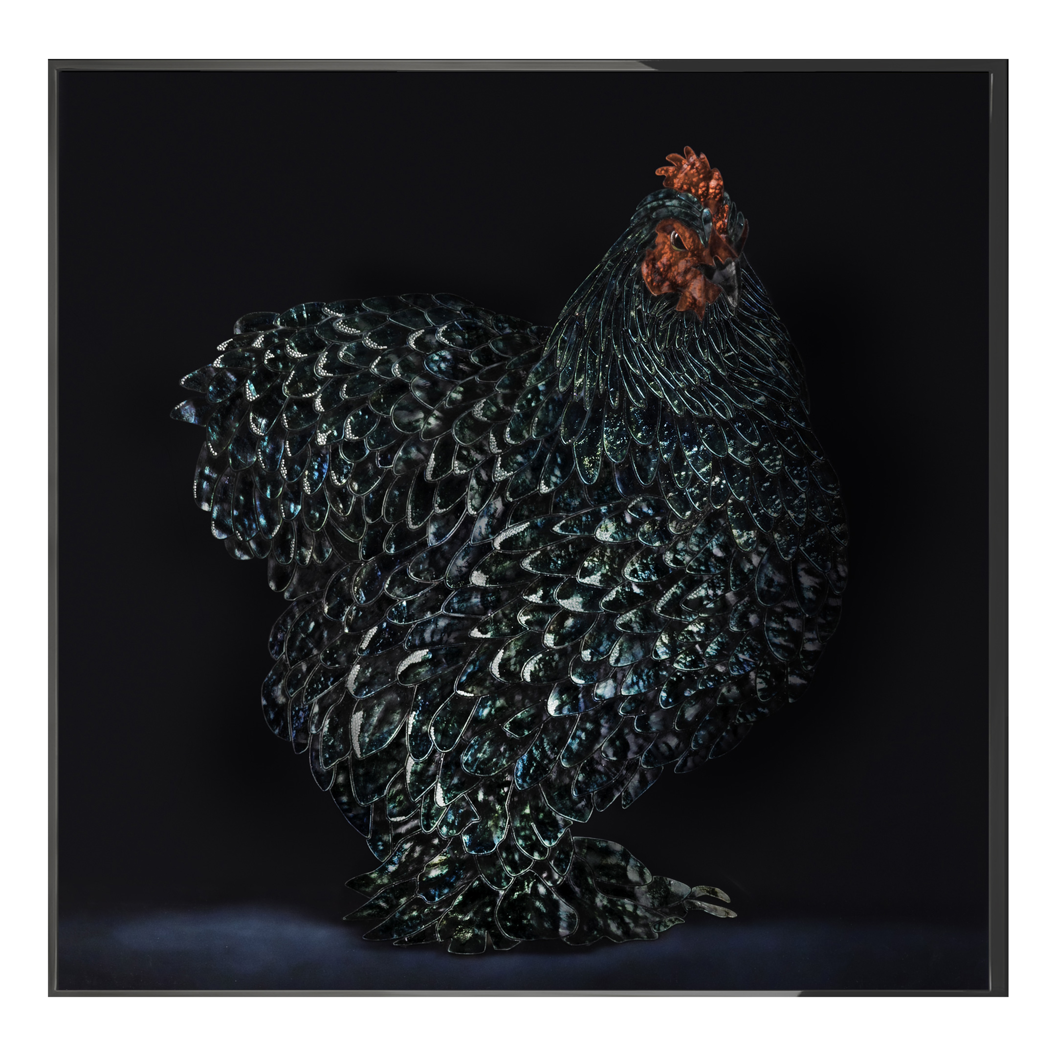 Gallo Cedrone Произведение искусства Visionnaire  - Вид №1