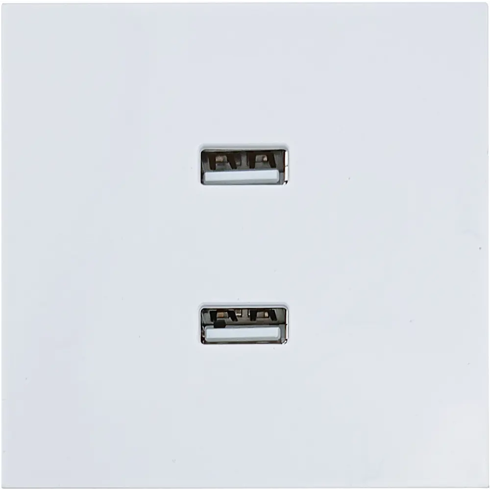 Розетка Lezard Zima с двойным USB для современной зарядки 89398369 STLM-1574929