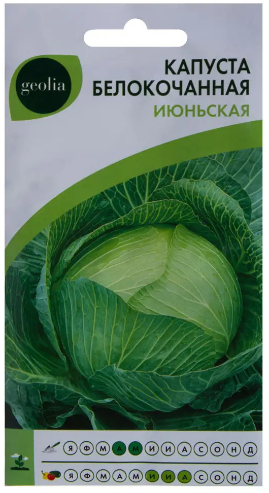Семена капусты белокочанной GEOLIA Июньская - ранний урожай 17585404