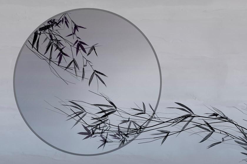 GLAMORA Водостойкие обои Glamfusion ™ Collection xi glamfusion Glf89 - Вид №3