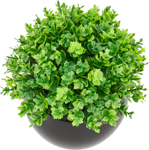 85826006 Искусственное растение Самшит мелколистный h13 см STLM-0065528 Santreyd