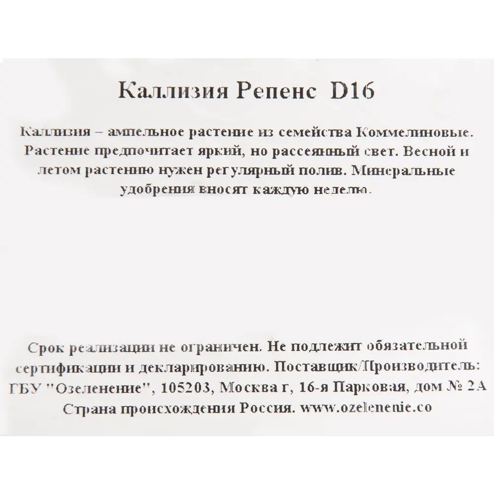 Santreyd Каллизия Репенс - вечнозеленое комнатное растение 82560385 STLM-0029927 - Вид №2