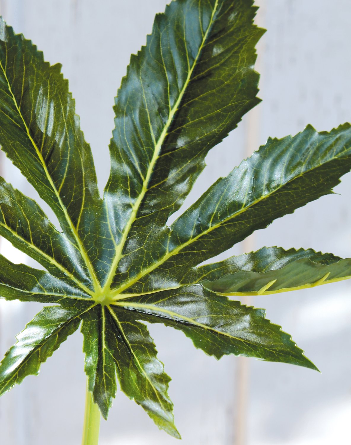 5833 883 a3 Лист искусственной аралии, 68 см, Ø 25 см, зеленый H-andreas  - Вид №3