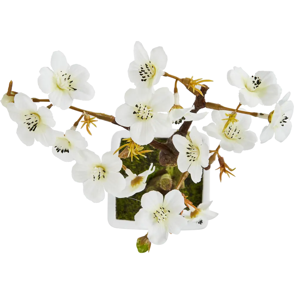Декоративное растение Atmosphera Вишня 18x18x26 см 87890830 STLM-2002969  - Вид №1