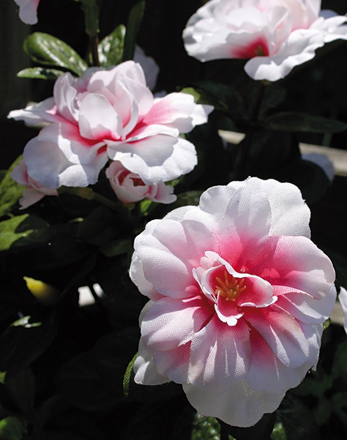 2116 705 a2 Искусственная азалия, горшечная, 26 см, бело-розовая H-andreas 