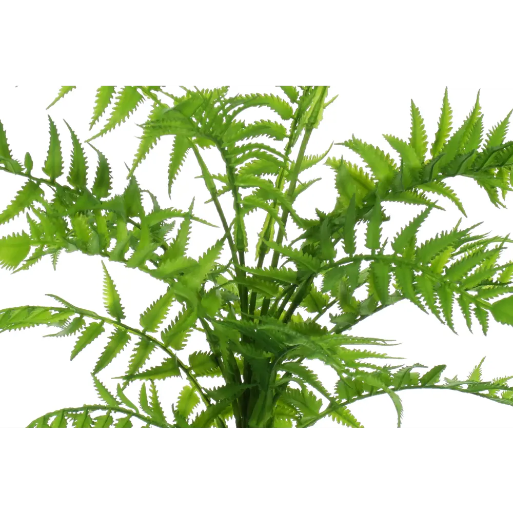 Искусственное растение Папоротник Солито ø13 h40 см Santreyd STLM-2092885 - Вид №3