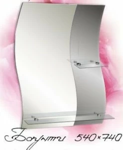 Зеркало Баунти 540х740 (023) Баунти