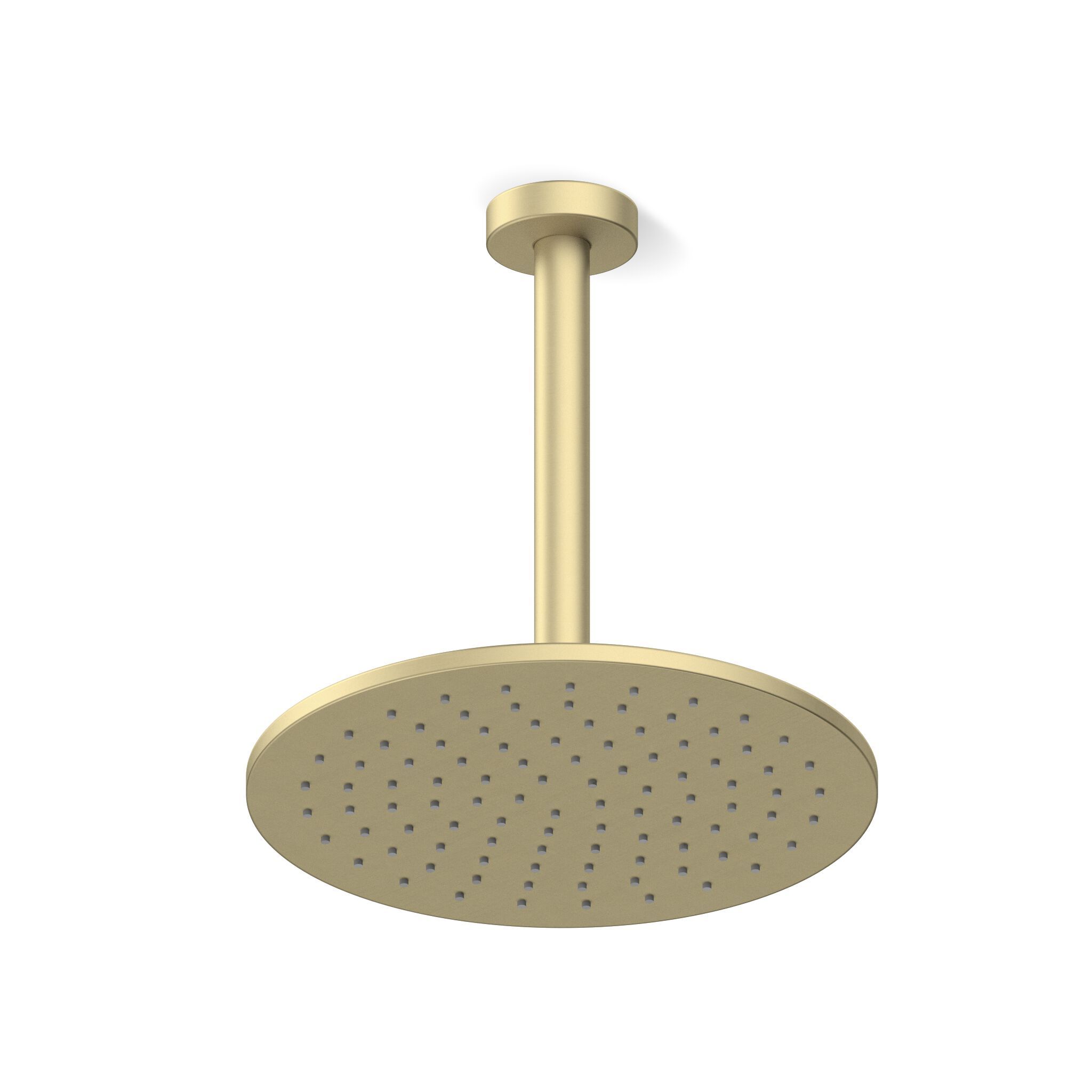 Круглая потолочная душевая головка с кронштейном Varied Forms M504 ARCH-00057689 - Вид №5