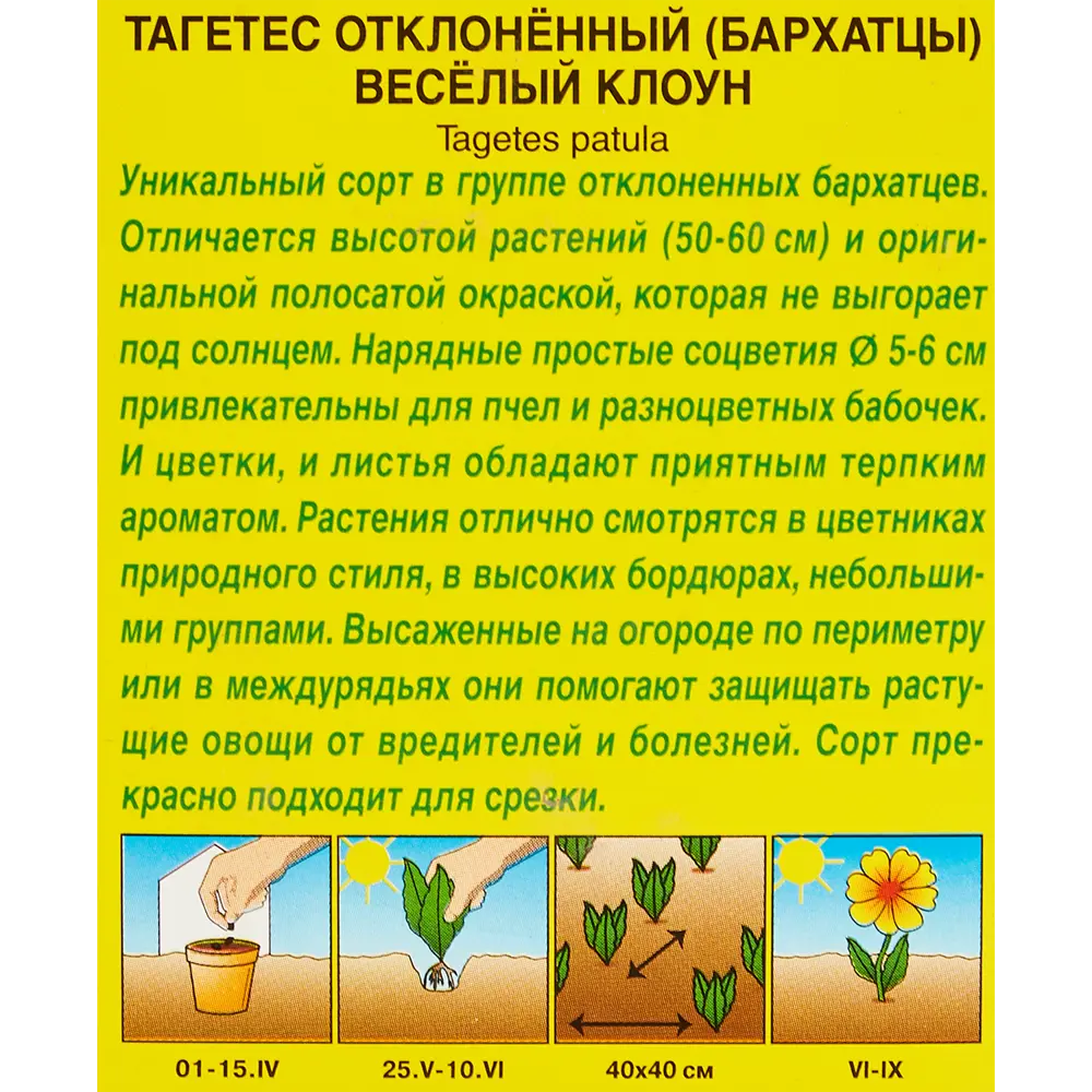 Бархатцы Веселый клоун h23 см 13075714 STLM-2004574 Santreyd  - Вид №2