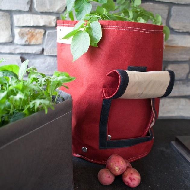 Onek чашка Bloembagz sun-id-1484376 - Вид №2