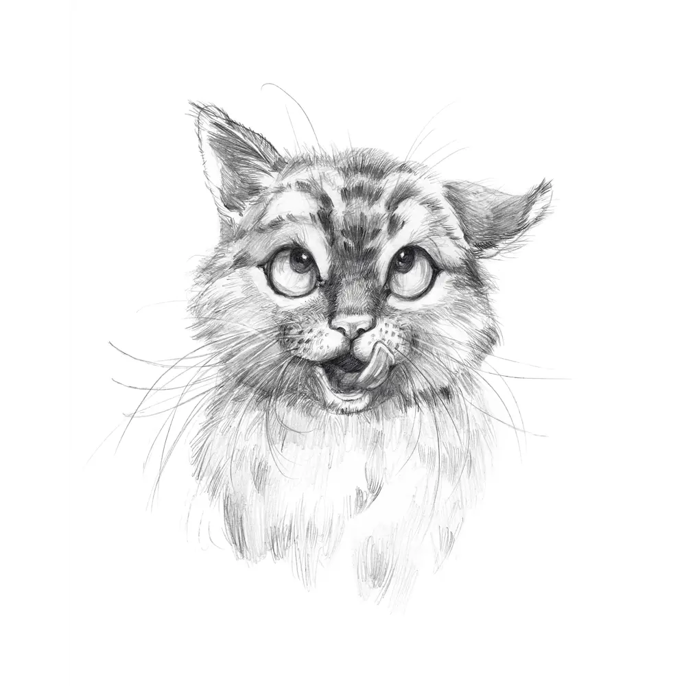 Постер МЯУчты 39x49 см АРТ ДИЗАЙН STLM-2067939