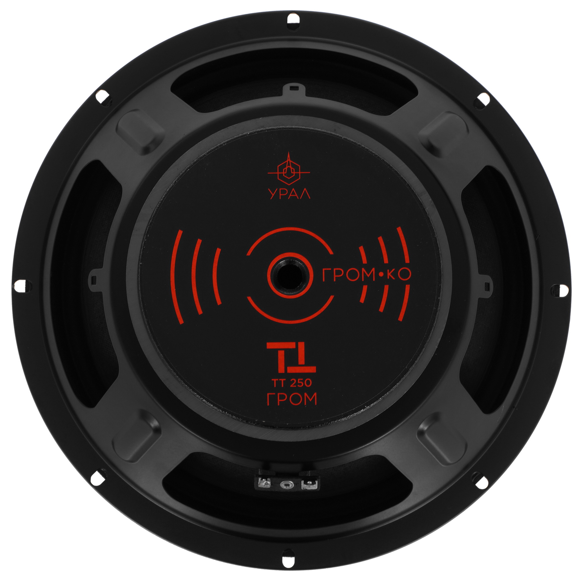 9958174 Мидбасовая акустическая система Ural ТТ 250 ГРОМ STDN-0084400 - Вид №2