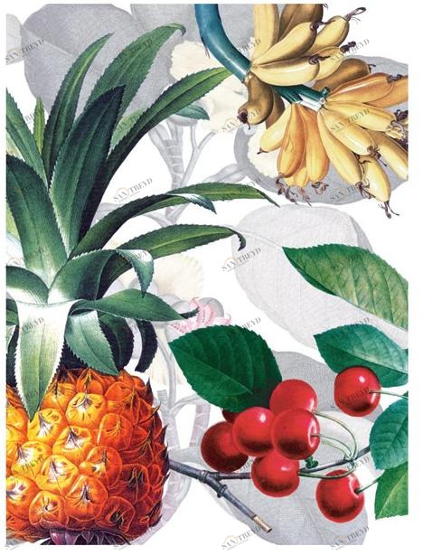 The NapKing Льняное кухонное полотенце Fructus sun-id-1445605