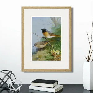 Литография на тонированной бумаге 42х32 см Pair of Redstarts, 1923г. КАРТИНЫ В КВАРТИРУ  264330 Белый;коричневый;разноцветный