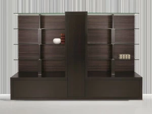 ARTOM by Ultom Офисный книжный шкаф из дерева и стекла Taiko