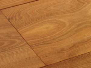 Паркет из вяза