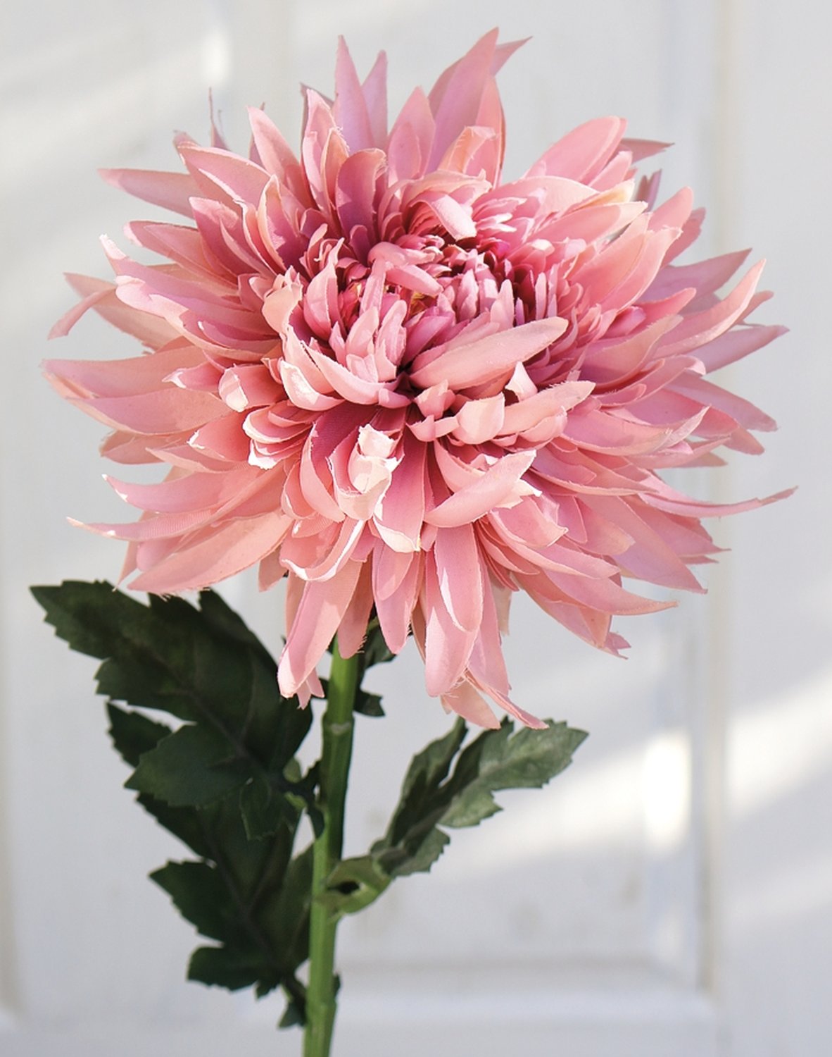 3411 597 a3 Хризантема пластиковая, 62 см, антично-розовая H-andreas  - Вид №6