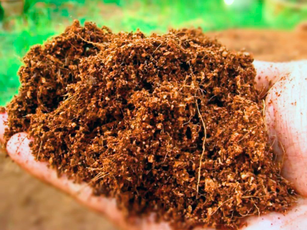 Кокосовый субстрат Орехнин, брикет 70 литров ГеоПластБорд GPBST-244 - Вид №2