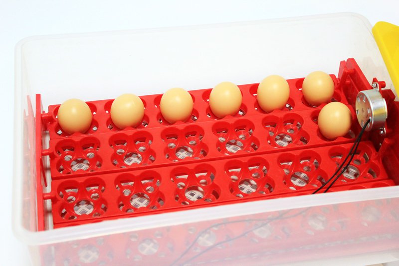 2005 Инкубатор для яиц автоматический И-24 LAB.Space  - Вид №1