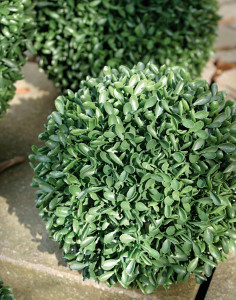 4874 883 a3 Искусственный шар самшит, синтетический материал, Ø 15 см, зеленый H-andreas