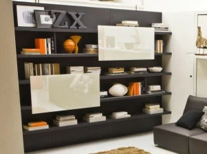 CLEI Модульная деревянная стенка для хранения вещей Living system / young system