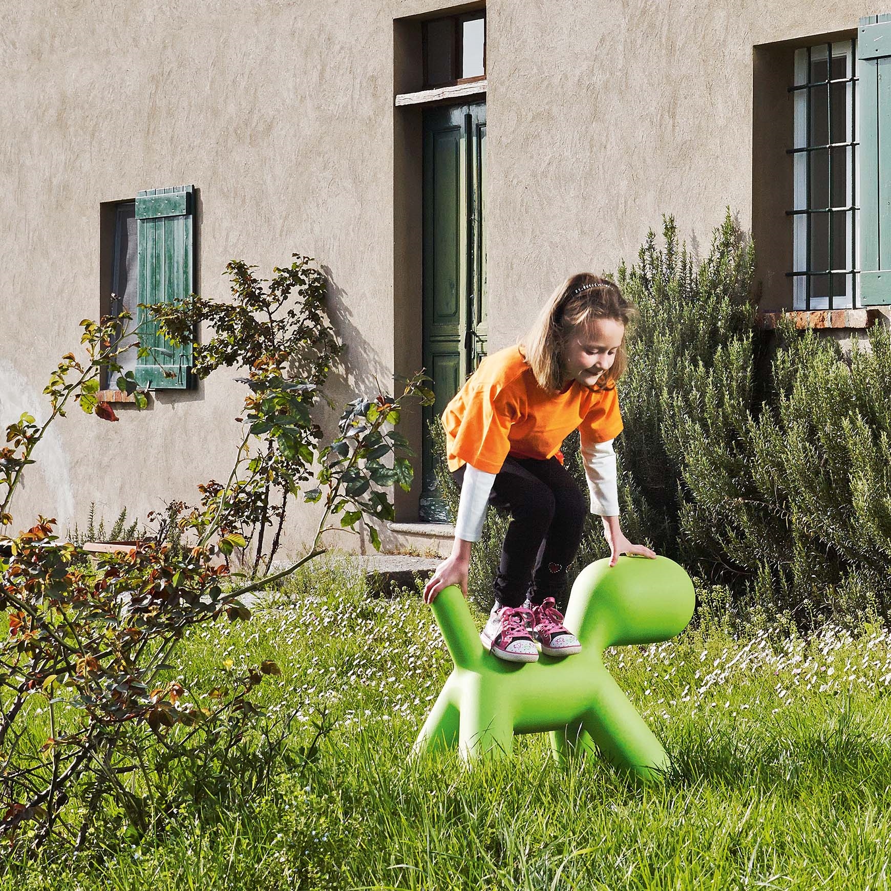 Щенок Magis sun-id-1328995 - Вид №9