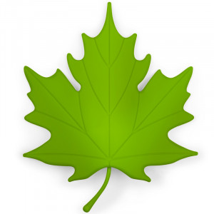 QL10072-GN Подпорка для двери autumn зеленая Qualy