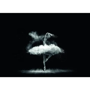 Постер «Балерина» 50x70 см 83308850 STLM-2110935
