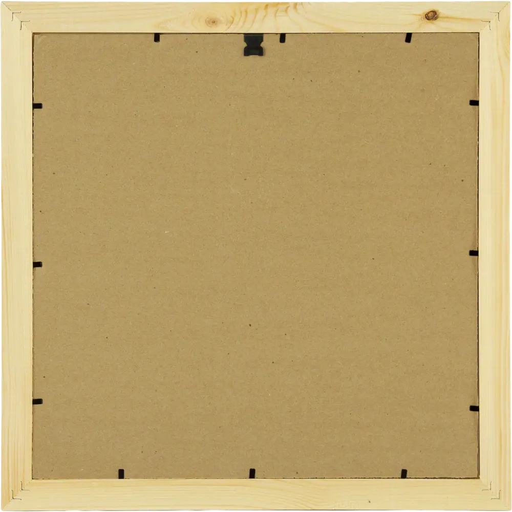 Постер в раме 40x40 см Енот 82206347 STLM-2185958 Santreyd  - Вид №2