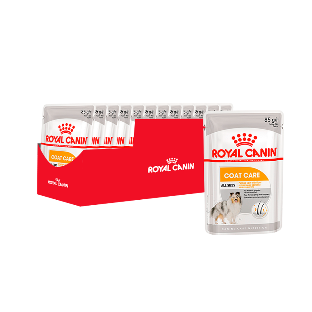 ПР0049773*12 Корм для собак Coat Care для тусклой и сухой шерсти паштет пауч 85г (упаковка - 12 шт) ROYAL CANIN 