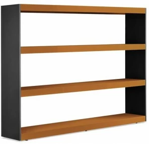 Minotti Библиотека Carson