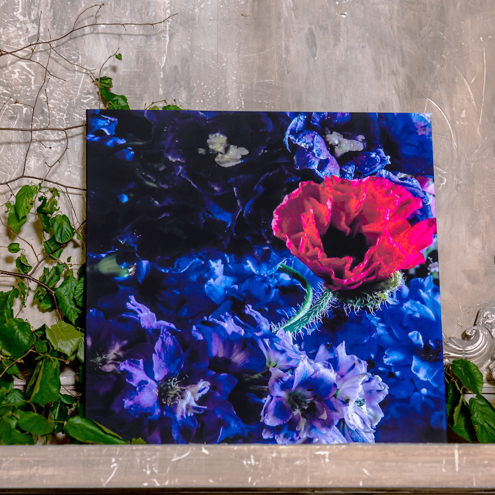 896520127_2728 Картина «Olimpian Blue» (холст, галерейная натяжка) Object Desire  - Вид №2