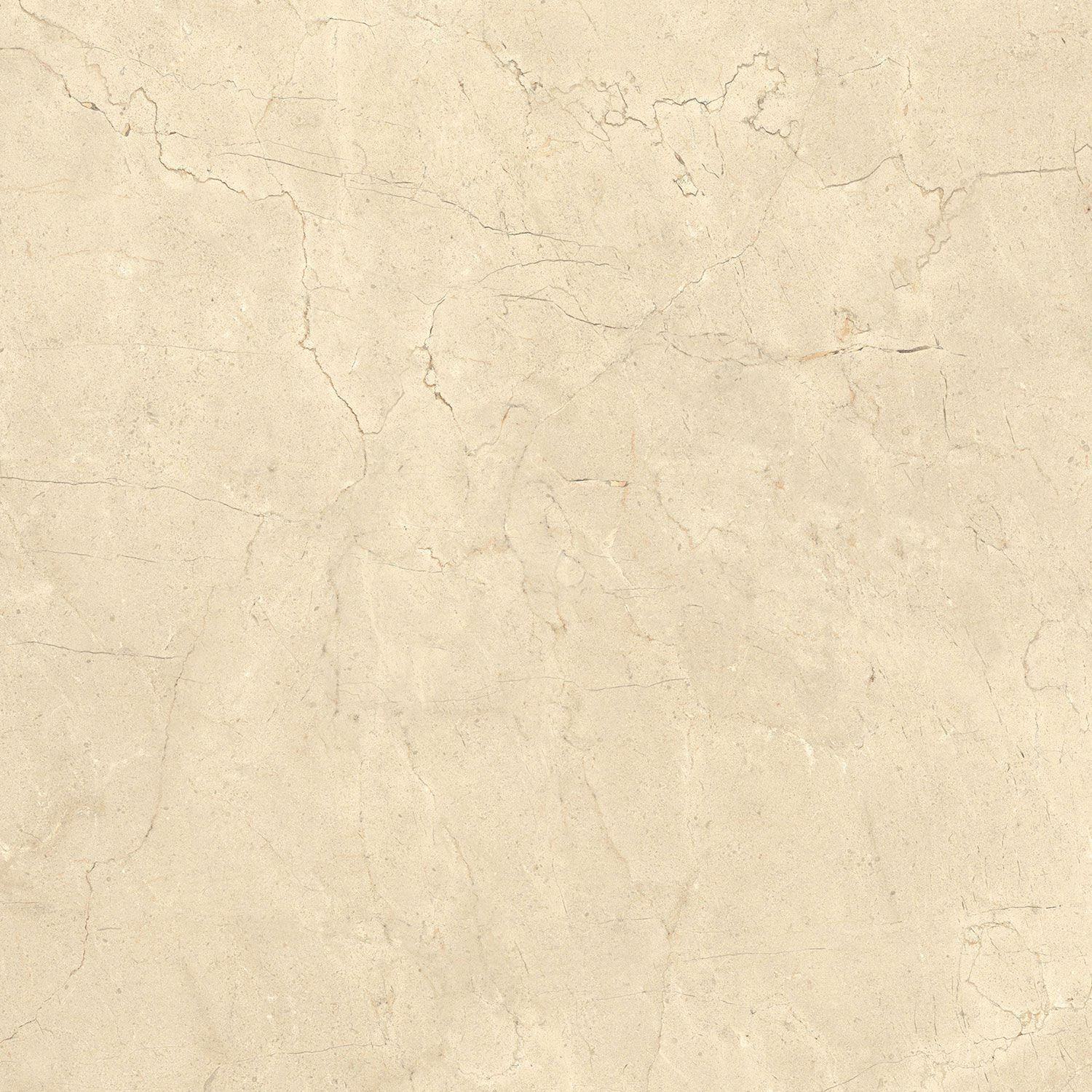Пол / облицовка керамогранита с эффектом камня Italgraniti Calcis ARCH-00078048 - Вид №14