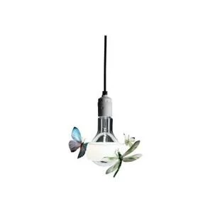 Светильник / Johnny B. Butterfly