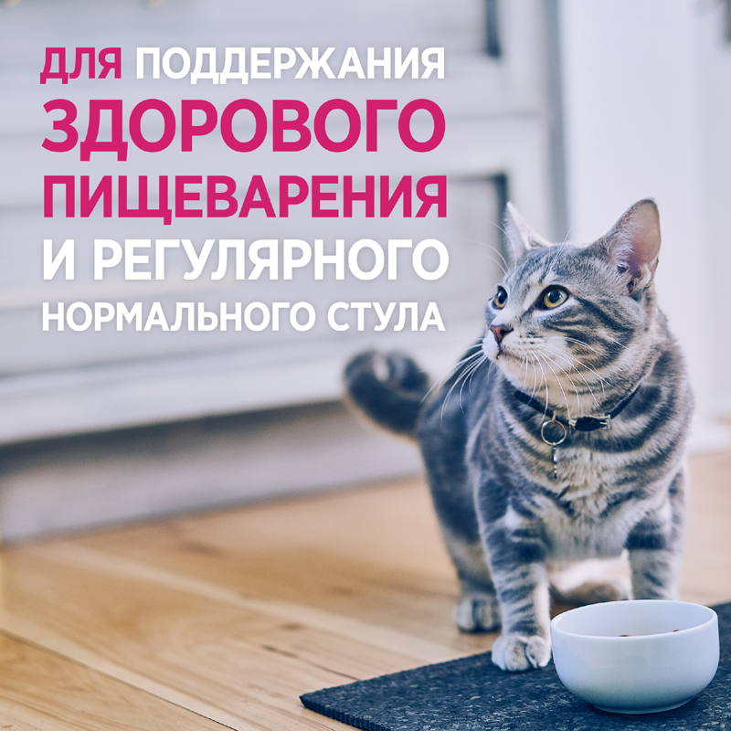 ПР0051316 Корм для кошек HILL"S Prescription Diet Gastrointestinal Biome при расстройствах пищеварения, c курицей, сух. 1,5кг Hill's  - Вид №9