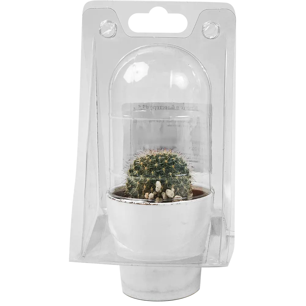 Santreyd: Декоративный кактус для современного интерьера 89296621 STLM-0823759 - Вид №1