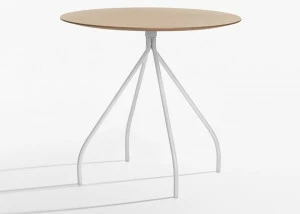 IOC project partners Круглый стол для переговоров Cordusio