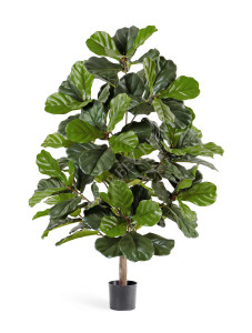 10.33704N Фикус Лирата 130 см Цветочная коллекция