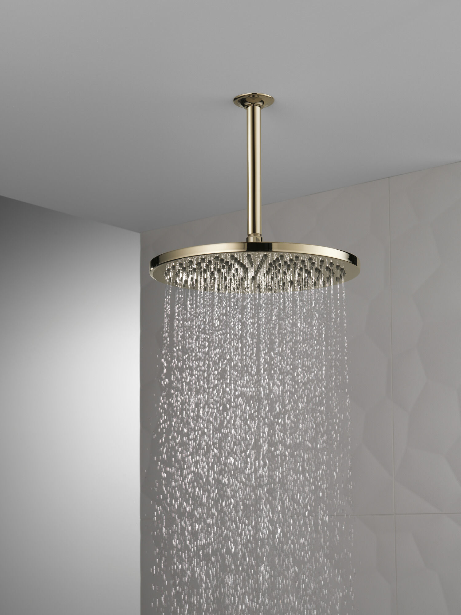 52158-PN25 Металлическая душевая лейка Raincan с одинарной настройкой Delta Faucet Universal Showering Полированный никель  - Вид №1