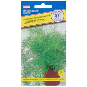 Семена Аспарагус густоцветковый (Шпренгера)