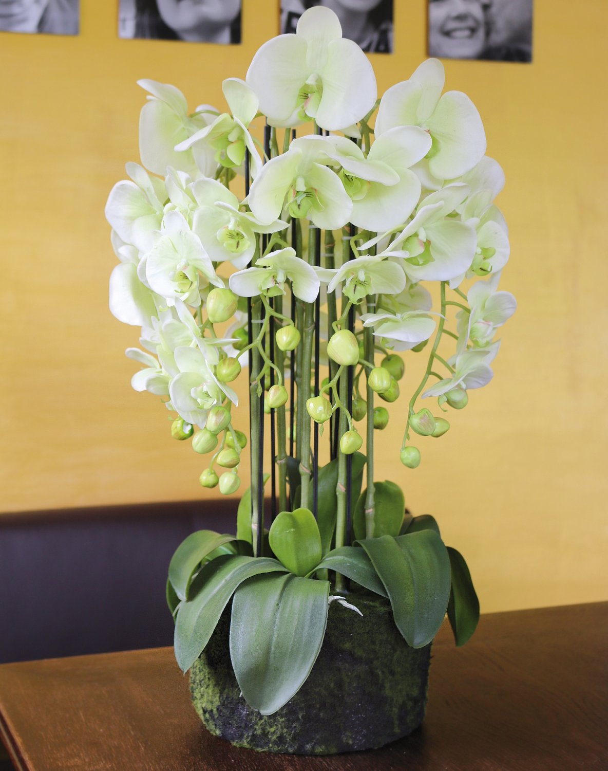 2861 788 a3 Пластиковая орхидея Phalaenopsis с 'почвой', 9-кратная, 70 см, real touch, бежево-зеленая H-andreas  - Вид №7
