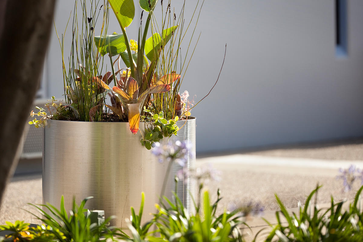 FSRT217 Универсальная сеялка  Forms-surfaces 